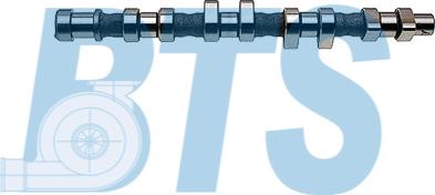 BTS Turbo CP12236 - Ax cu came aaoparts.ro