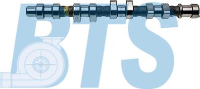 BTS Turbo CP12237 - Ax cu came aaoparts.ro