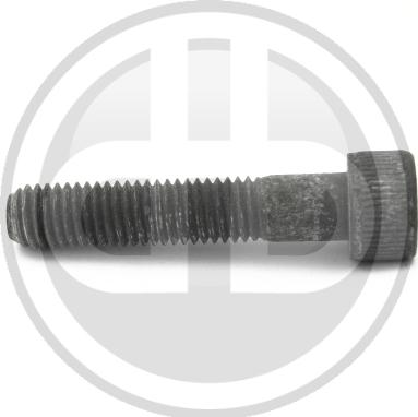 Buchli 6A41826 - Surub, suport injector aaoparts.ro