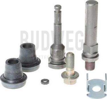 Budweg Caliper 169145 - Set bucsi de ghidaj, etrier frana aaoparts.ro