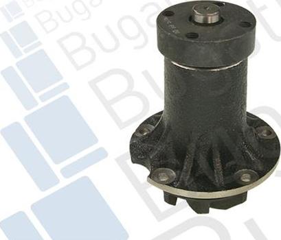 BUGATTI PA0135 - Pompa apa aaoparts.ro