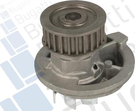 BUGATTI PA7203 - Pompa apa aaoparts.ro