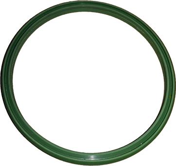 Bugiad 81806 - Inel etansare, furtun aer supraalimentare aaoparts.ro