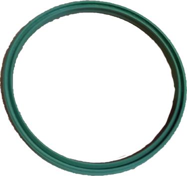 Bugiad 81805 - Inel etansare, furtun aer supraalimentare aaoparts.ro