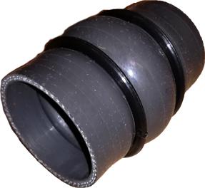 Bugiad 81794 - Furtun aer supraalimentare aaoparts.ro