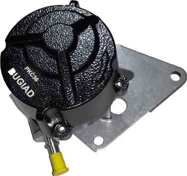 Bugiad BGT00017 - Pompa vacuum,sistem de franare aaoparts.ro
