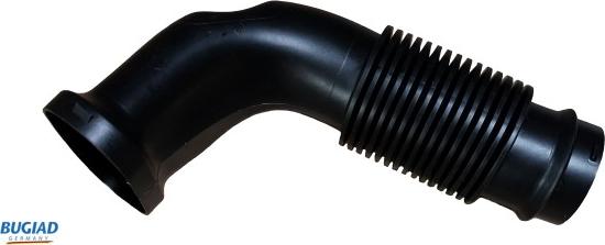 Bugiad BIH18119 - Palnie, filtru de aer aaoparts.ro