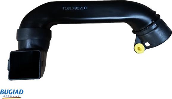 Bugiad BIH18124 - Palnie, filtru de aer aaoparts.ro