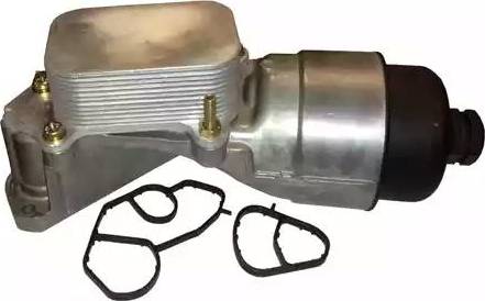 Bugiad BSP24943 - Locas filtru ulei aaoparts.ro