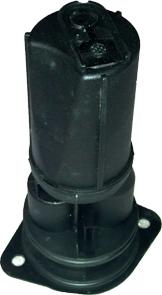 Bugiad BSP24983 - Separator ulei, ventilatie bloc motor aaoparts.ro