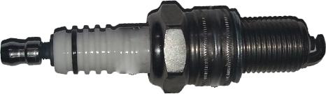 Bugiad BSP24723 - Bujii aaoparts.ro