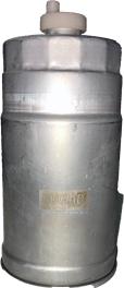 Bugiad BSP25057 - Filtru combustibil aaoparts.ro