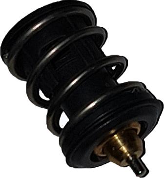 Bugiad BSP25071 - Termostat,lichid racire aaoparts.ro