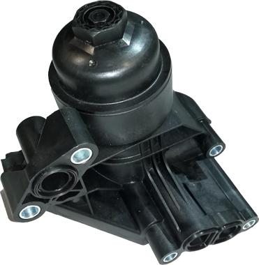 Bugiad BSP25223 - Locas filtru ulei aaoparts.ro