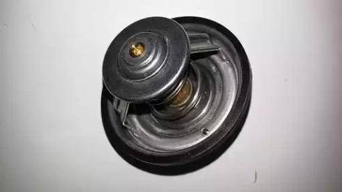 Bugiad BSP21549 - Termostat,lichid racire aaoparts.ro
