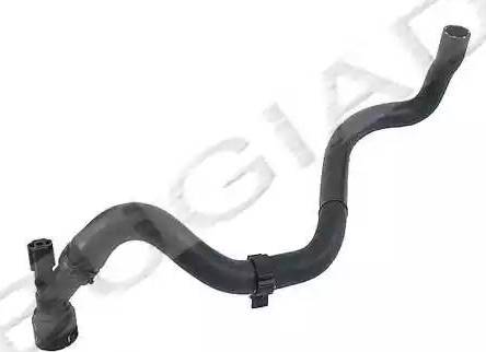Bugiad BSP21834 - Furtun radiator aaoparts.ro