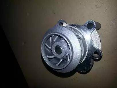 Bugiad BSP23115 - Pompa apa aaoparts.ro