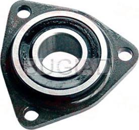 Bugiad BSP23352 - Lagar, ventilator racire motor aaoparts.ro