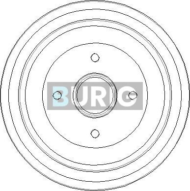 Burig B040119 - Tambur frana aaoparts.ro