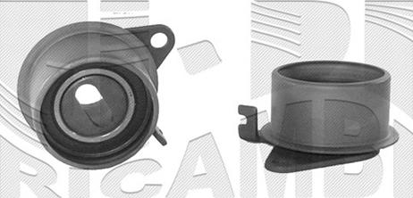 Caliber 56861 - Rola intinzator,curea distributie aaoparts.ro