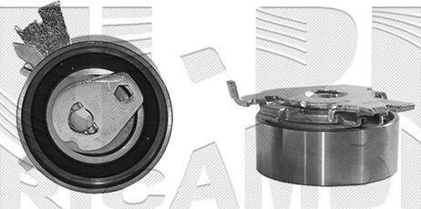 Caliber 56362 - Rola intinzator,curea distributie aaoparts.ro