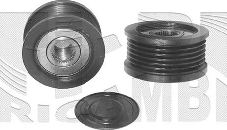 Caliber 57262 - Fulie, alternator aaoparts.ro