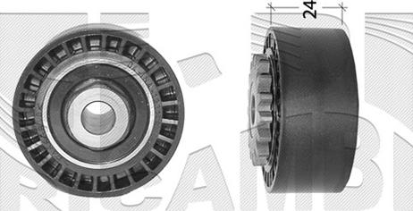 Caliber 66663 - Rola ghidare / conducere, curea transmisie aaoparts.ro