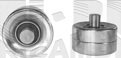 Caliber 06365 - Rola ghidare / conducere, curea distributie aaoparts.ro