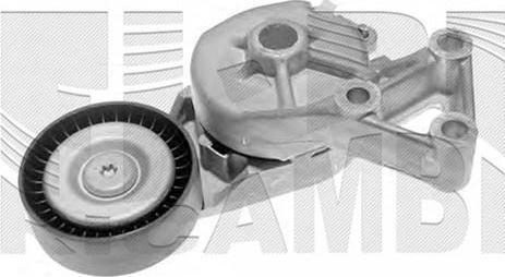 Caliber 00261 - Intinzator curea, curea distributie aaoparts.ro