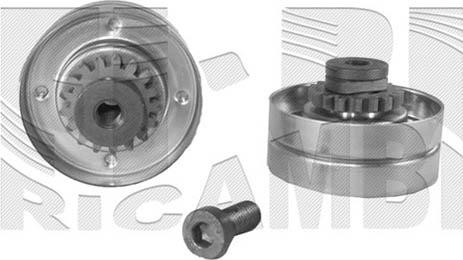 Caliber 16265 - Rola ghidare / conducere, curea transmisie aaoparts.ro