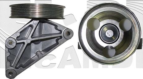 Caliber 89198 - Rola ghidare / conducere, curea transmisie aaoparts.ro