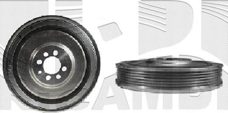 Caliber 87493 - Fulie curea, arbore cotit aaoparts.ro