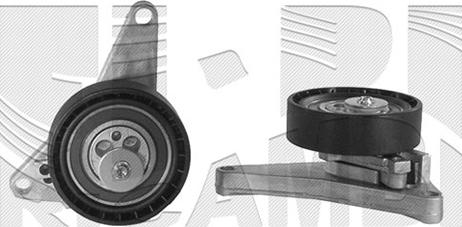 Caliber 36765 - Rola intinzator,curea distributie aaoparts.ro