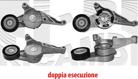 Caliber 20666 - Intinzator curea, curea distributie aaoparts.ro