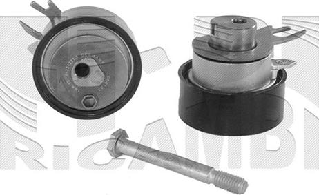 Caliber 76669 - Rola intinzator,curea distributie aaoparts.ro