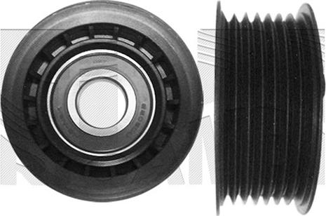 Caliber 76060 - Rola ghidare / conducere, curea transmisie aaoparts.ro