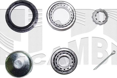 Caliber RC1024 - Set rulment roata aaoparts.ro
