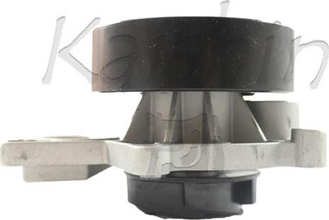 Caliber WPC553 - Pompa apa aaoparts.ro