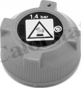 Calorstat by Vernet ET0032C1 - Vas de expansiune, racire aaoparts.ro