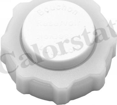 Calorstat by Vernet RC0013 - Buson,vas expansiune aaoparts.ro