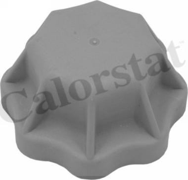 Calorstat by Vernet RC0142 - Buson,vas expansiune aaoparts.ro