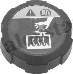 Calorstat by Vernet RC0200 - Buson,vas expansiune aaoparts.ro