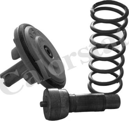 Calorstat by Vernet TH6965.87 - Termostat,lichid racire aaoparts.ro