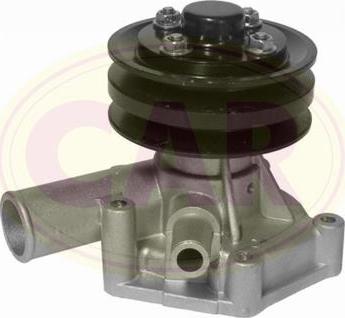 CAR 332062 - Pompa apa aaoparts.ro