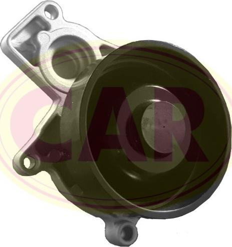 CAR 332836 - Pompa apa aaoparts.ro