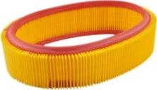 CAREX 100109RX - Filtru aer aaoparts.ro