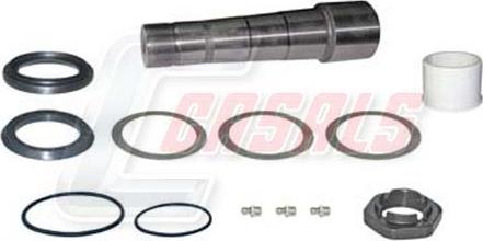 Casals 69159 - Set reparatie, pivot aaoparts.ro