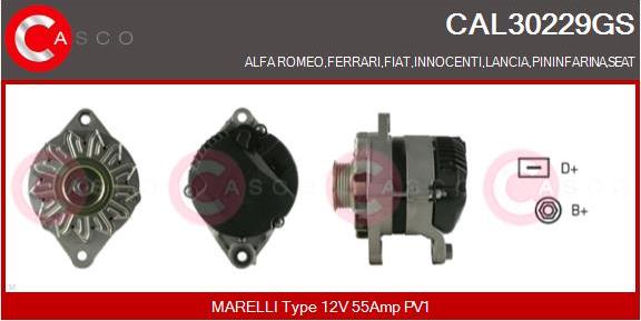 Casco CAL30229GS - Generator / Alternator aaoparts.ro