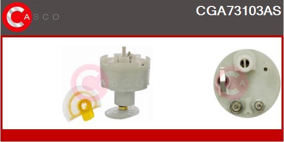 Casco CGA73103AS - Modul alimentare combustibil aaoparts.ro