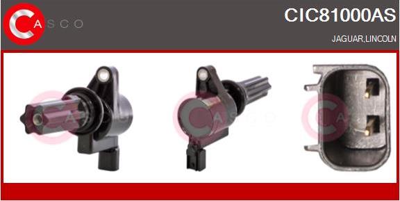 Casco CIC81000AS - Bobina de inductie aaoparts.ro